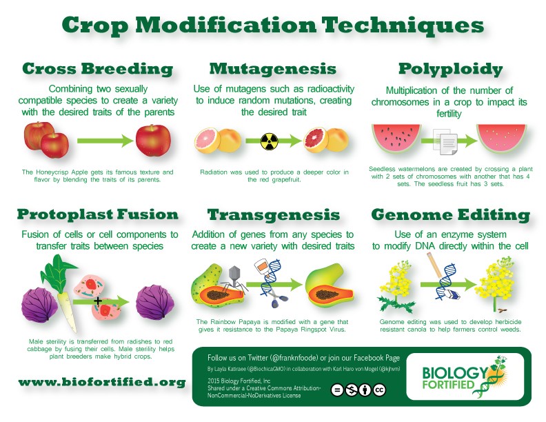 Plant Breeding Innovation International Seed Federation Crop Modifications Techniques En