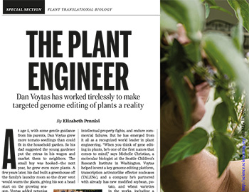 The Plant Engineer (EN)
